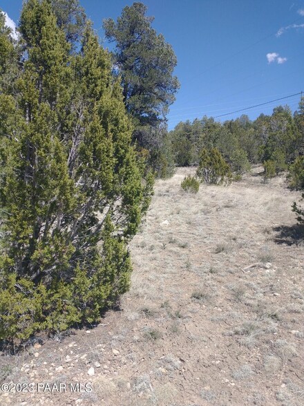 1979 Bradley Ln, Heber, AZ 85928