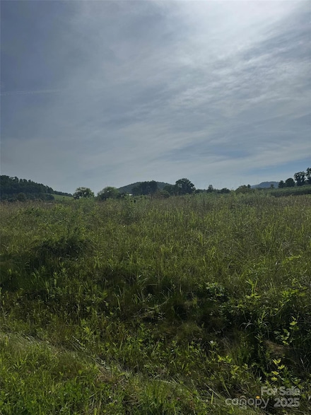 612 Beehive Rd Unit 8, Edneyville, NC 28792