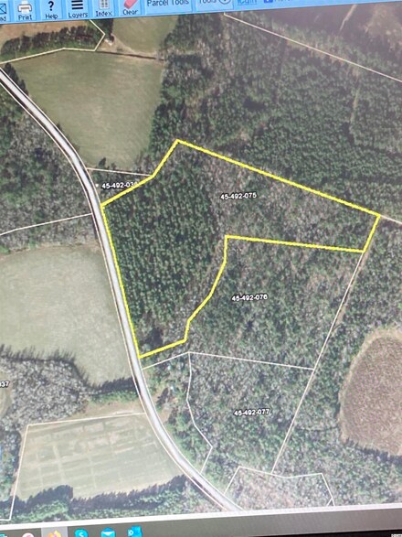 TBD County Road S-45-319, Hemingway, SC 29554