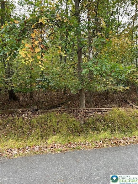 0 Dogwood Unit 755941, Middle Smithfield Township, PA 18302