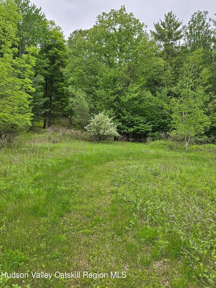 L15 S Durham Estates Rd, Acra, NY 12405