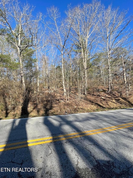 0 Waterview Dr Unit 1306982, Fairfld Glde, TN 38555