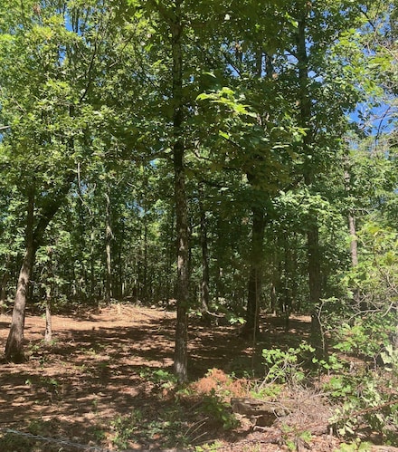 605 Lone Oak Rd, Williford, AR 72482