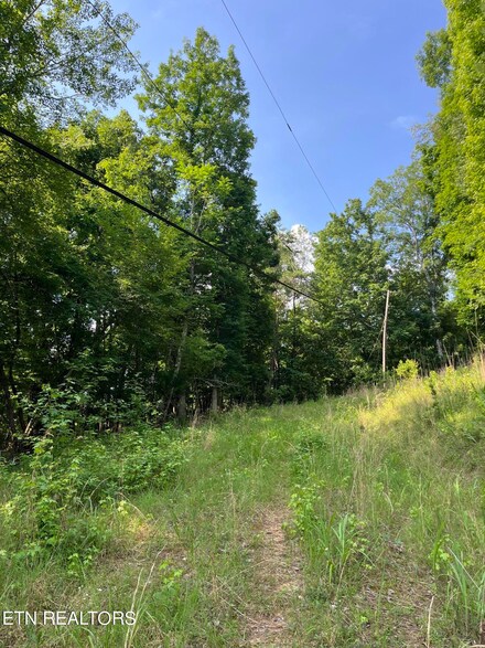 00 Hawthorne Dr, Spring City, TN 37381