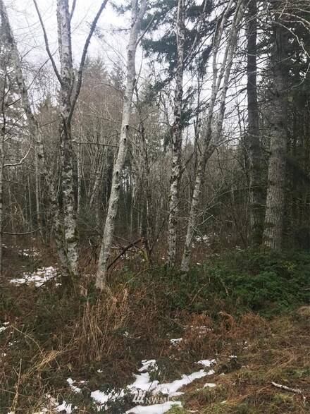 0 XX Cedar St, Elma, WA 98541