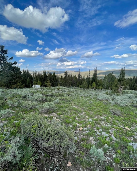 0 Brown Trout Dr, Kemmerer, WY 83101