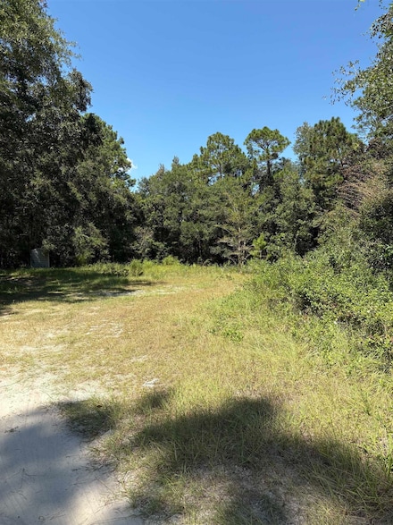 10 Blue Waters Ct, Woodville, FL 32305