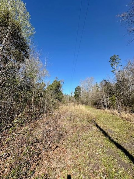 Lot 4 Pineview Dr, Wewahitchka, FL 32465