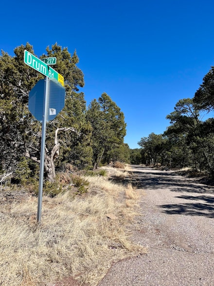 5 Drum Rd, Edgewood, NM 87015