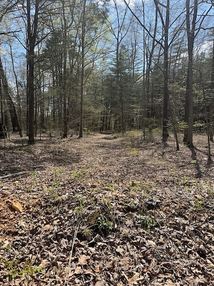 3601 Bowker Rd, Charlotte, TN 37036