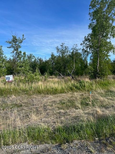 1383 N Cedar Hills Dr, Palmer, AK 99645