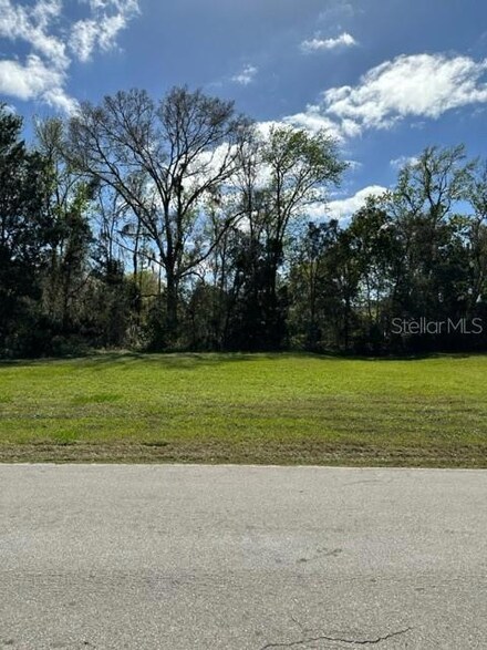 1605 Juno Trail, Astor, FL 32102