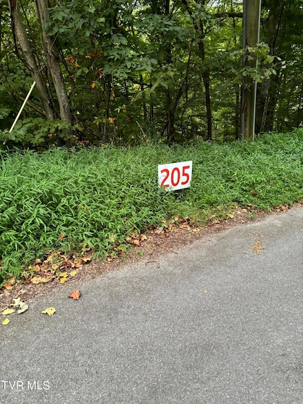 205 Ox Bow Ave, Unicoi, TN 37692