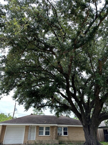 8913 Homewood Ln, Houston, TX 77078