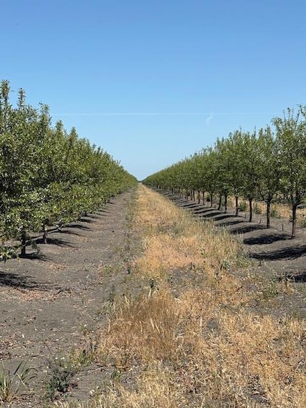 99600 Douglas Ave, Firebaugh, CA 93622