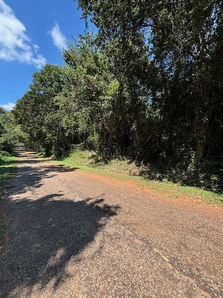 0 W Cook St, Palestine, TX 75801