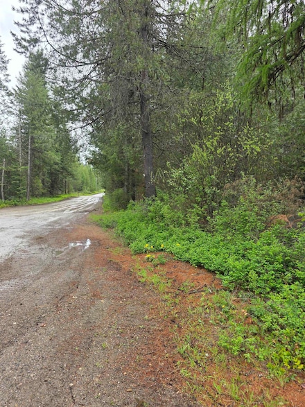 NNA Carpenter Dr, Newport, WA 99156