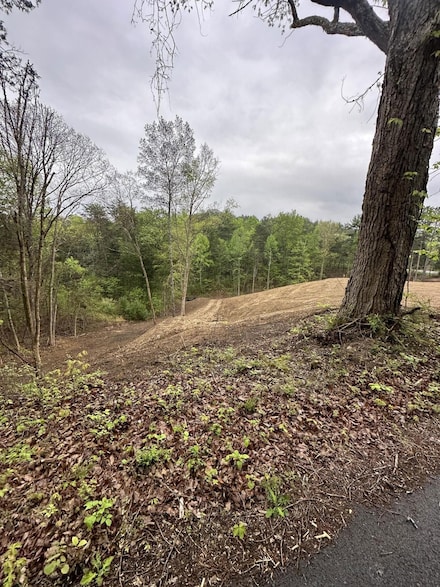1801 Bootbluff Trail, Dandridge, TN 37725