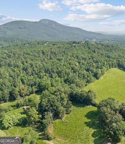 0 Highland Forest Rd Unit TRACT "2" 10513427, Cleveland, GA 30528