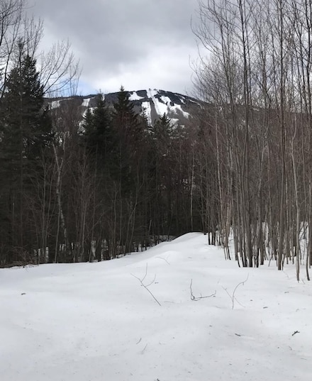 1 Pinnacle View Ln, Dover, VT 05356