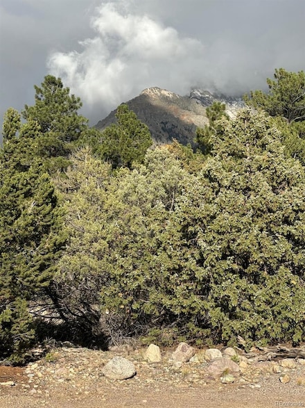 1693 Columbine, Crestone, CO 81131