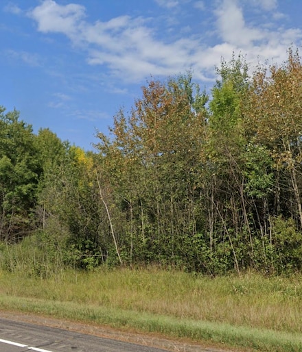 XXX Highway 210, Wright, MN 55798