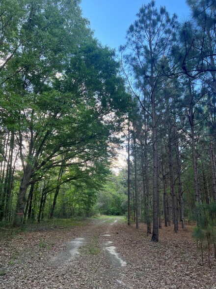 0 Wagener Rd Unit 7 206012, Wagener, SC 29164