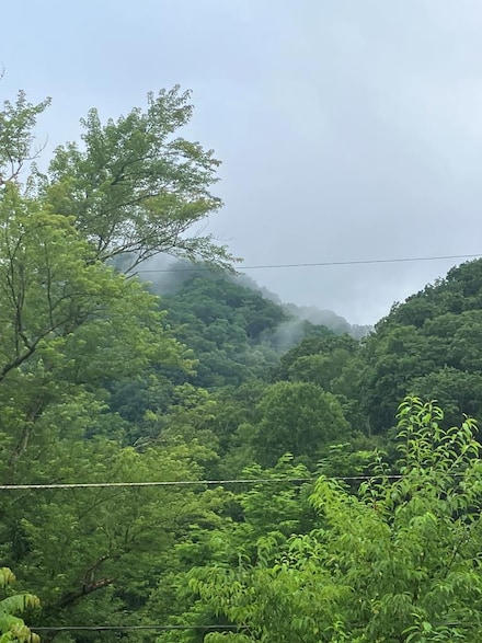 54 New Camp Hill Rd, Welch, WV 24801