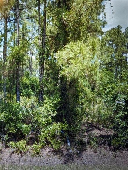 0 Neon Ave Unit 224025991, North Port, FL 34291