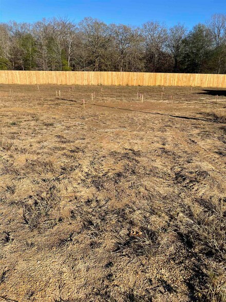 14 Dragonfly Cove, Greenbrier, AR 72058
