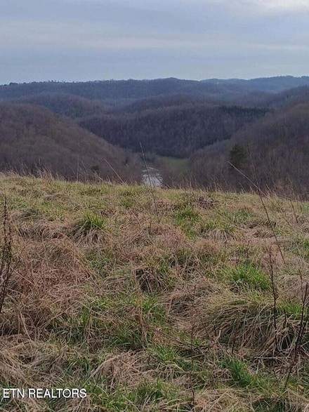 Lot # 8 King Bend Rd, Cumberland Gap, TN 37724