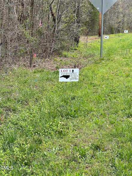 Lot 1 Elmer Moore Rd, Siler City, NC 27344