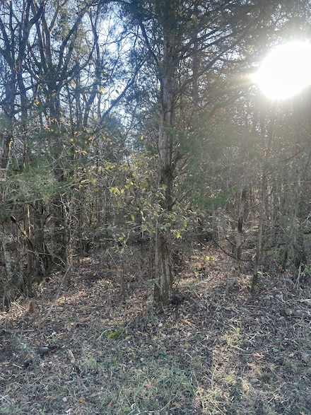 0 Midland Fosterville Rd, Bell Buckle, TN 37020