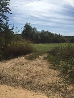 Tract A E Summers Mt Rd, Summers, AR 72769