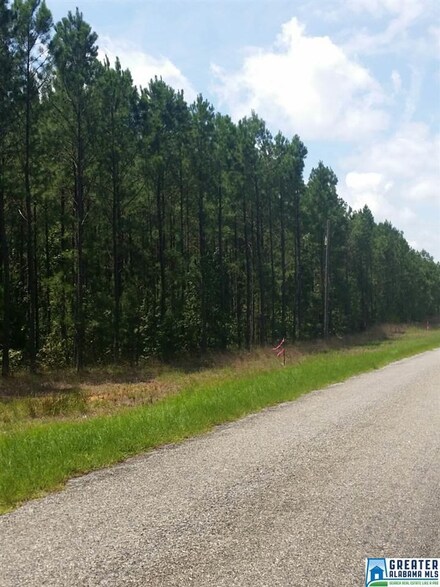 0 Country Club Rd Unit 1 762101, Roanoke, AL 36274