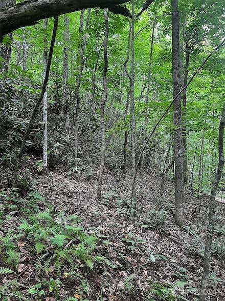 00 Jarrell Loop, Old Fort, NC 28762