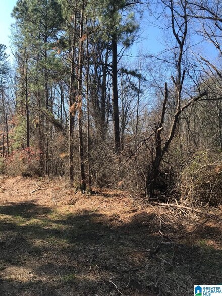 1447 Pumpkin Center Cut Off Rd Unit 1 Parcel, Quinton, AL 35130