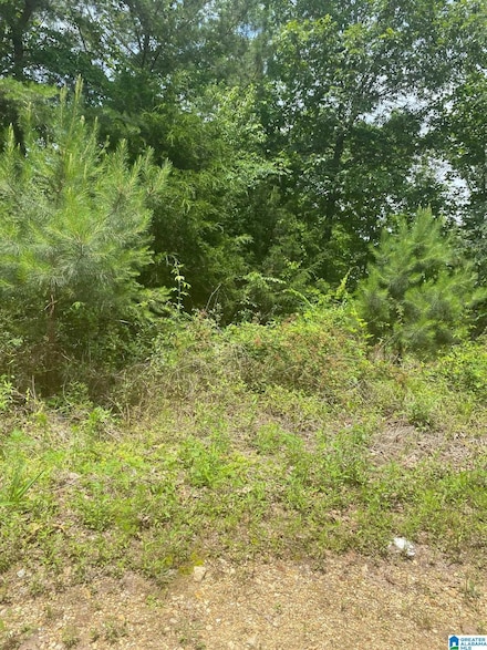 0 Walnut Cove Unit 16 21409342, Odenville, AL 35120