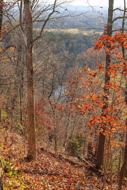 2064 Hillsboro Rd, Franklin, TN 37069