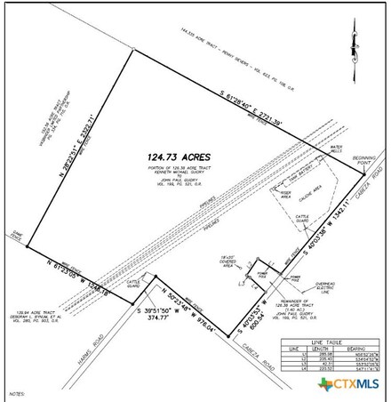 4363 Cabeza Rd, Nordheim, TX 78141