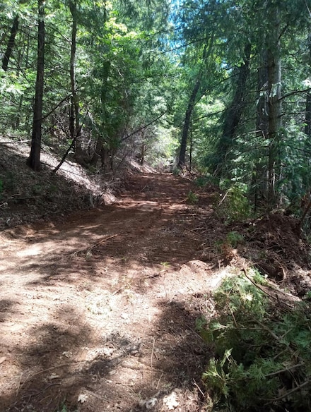 2725 Moody Ridge Rd, Gold Run, CA 95717