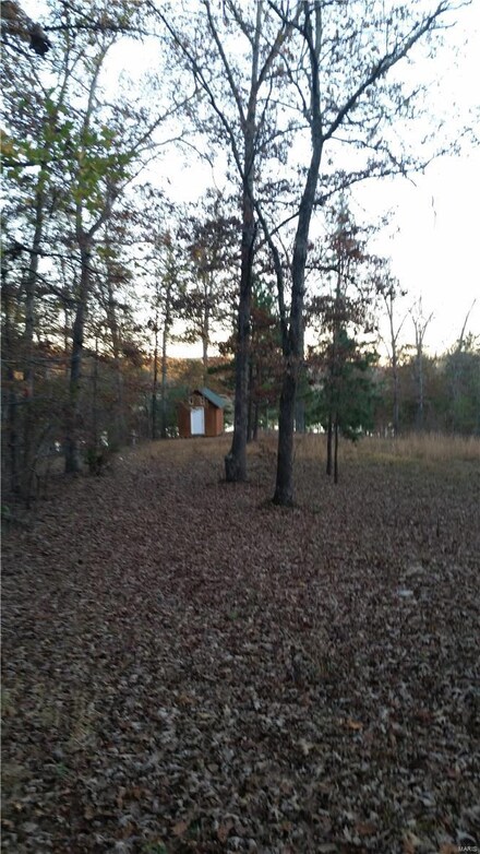 10 Hidden Valley, Annapolis, MO 63620