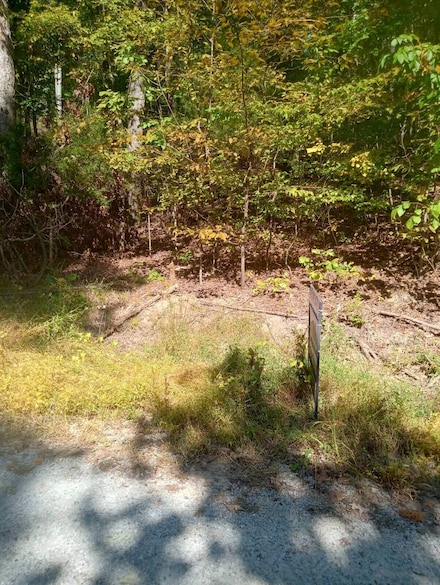 179 Lower Ridgecrest Dr, Clarkson, KY 42726
