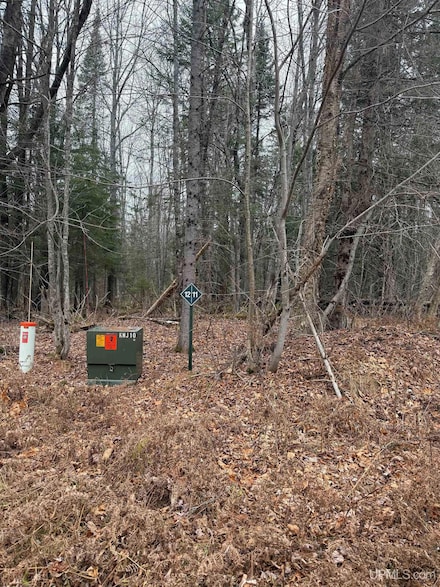 Lot 11 Keweenaw Pass, Lake Linden, MI 49945