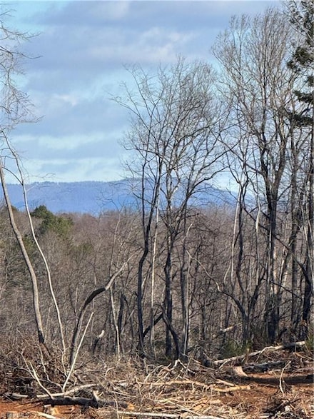 00 Money Rd, Dobson, NC 27017
