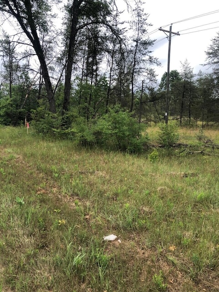 VL S Forman Rd, Idlewild, MI 49642