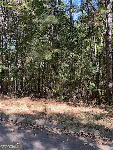 336 Wynterhall Dr, Griffin, GA 30224