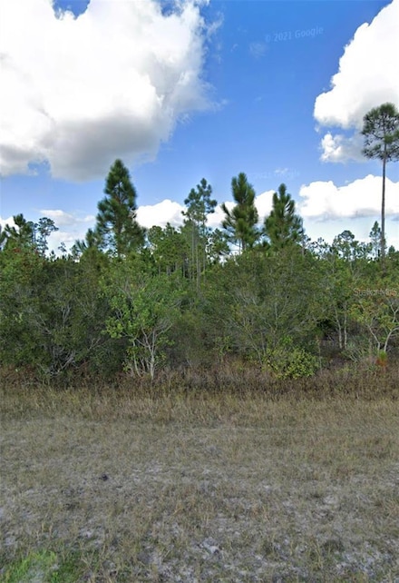 1008 Calliandra Dr, Indian Lake Estates, FL 33855