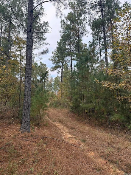 TBD Hitt Rd, Murfreesboro, AR 71958