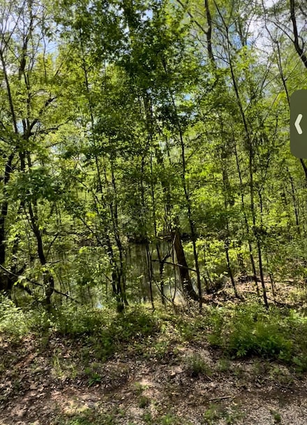 0 Doll Conway Rd Unit Lot 5 10200647, Clifton, TN 38425